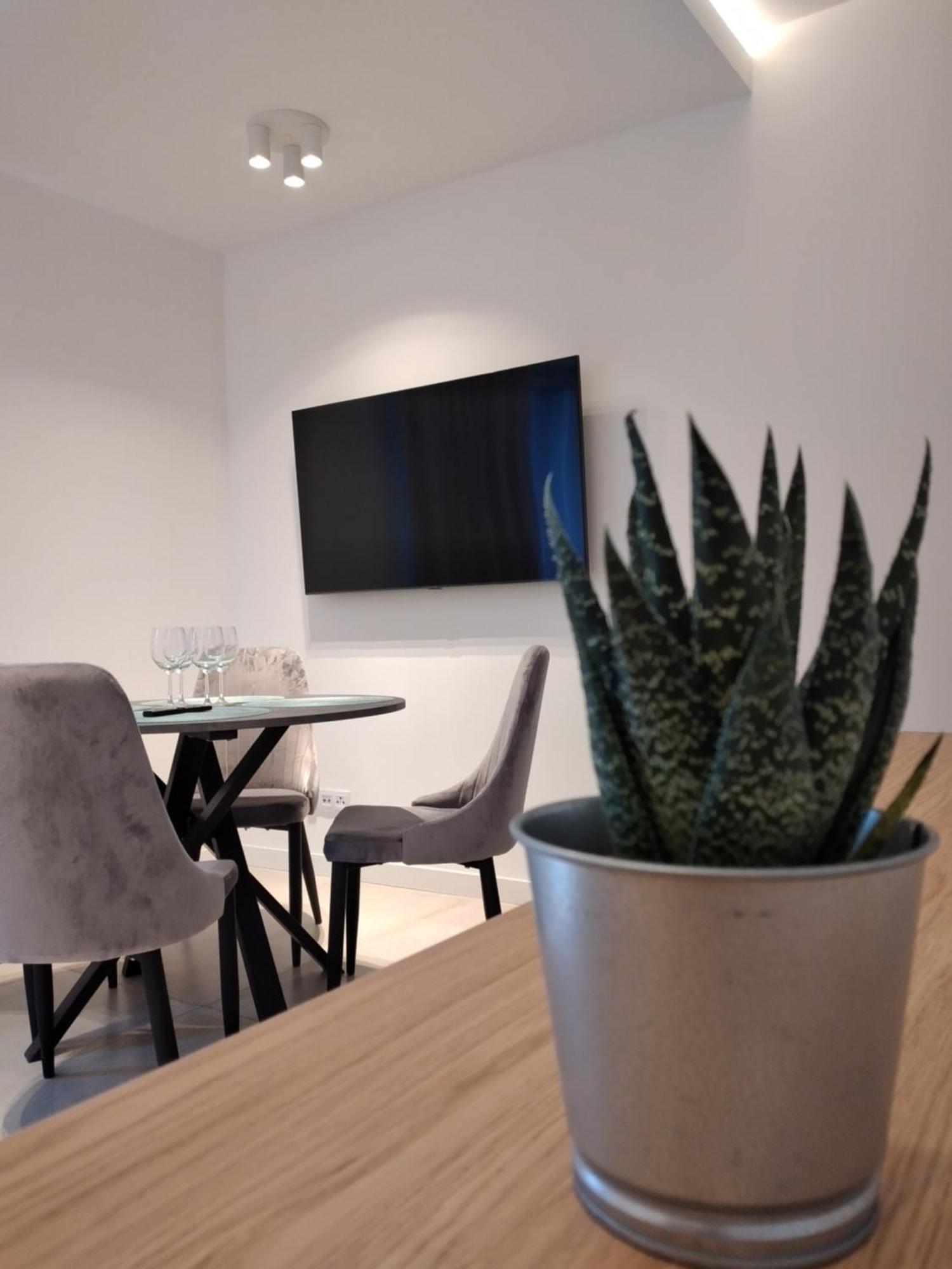 Apartament Źródlana Ski 300M Swieradow-Zdroj Bagian luar foto